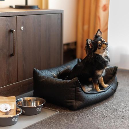 Gemuetliches Apartment Mit Blick Zur Frauenkirche Дрезден Екстериор снимка
