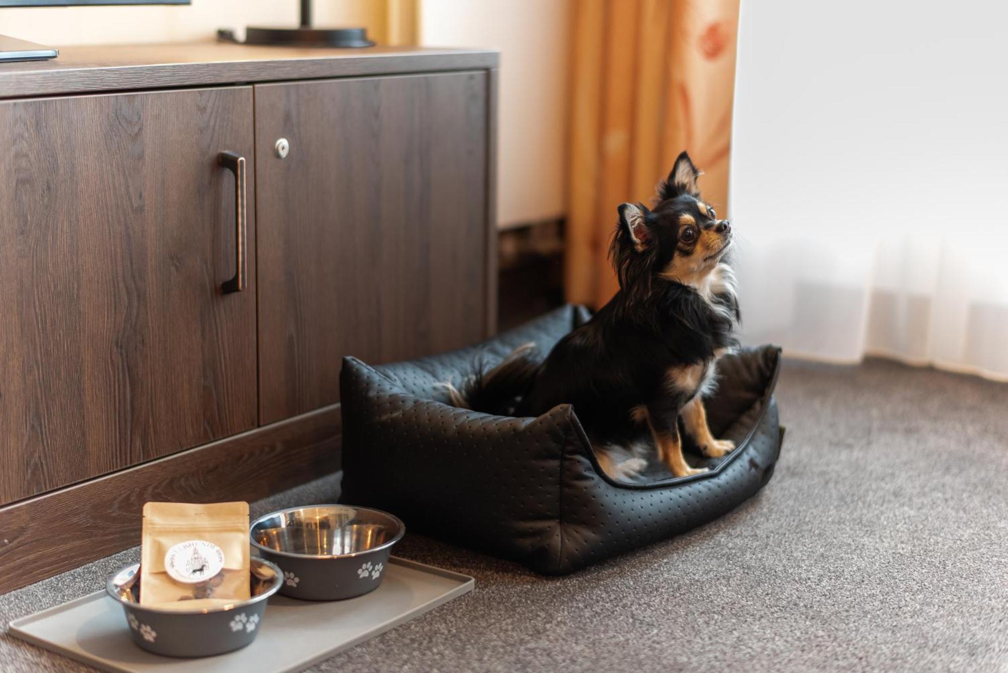 Gemuetliches Apartment Mit Blick Zur Frauenkirche Дрезден Екстериор снимка